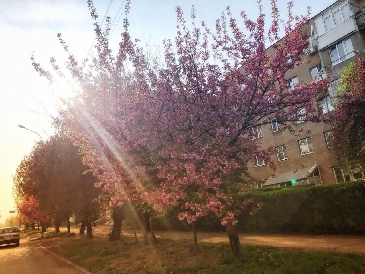 Арт Квартира В Центрі Міста Uschhorod Exterior foto