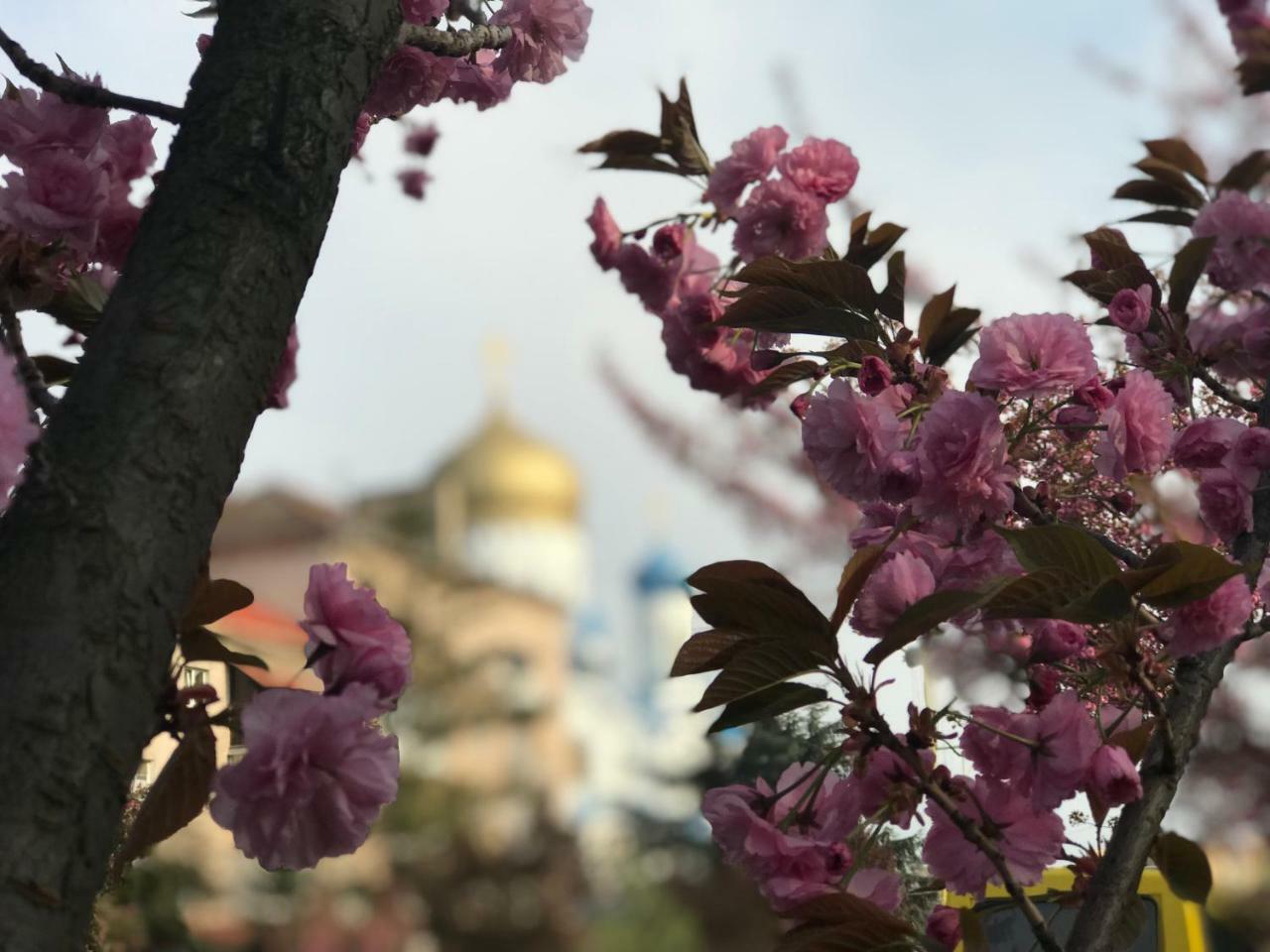 Арт Квартира В Центрі Міста Uschhorod Exterior foto