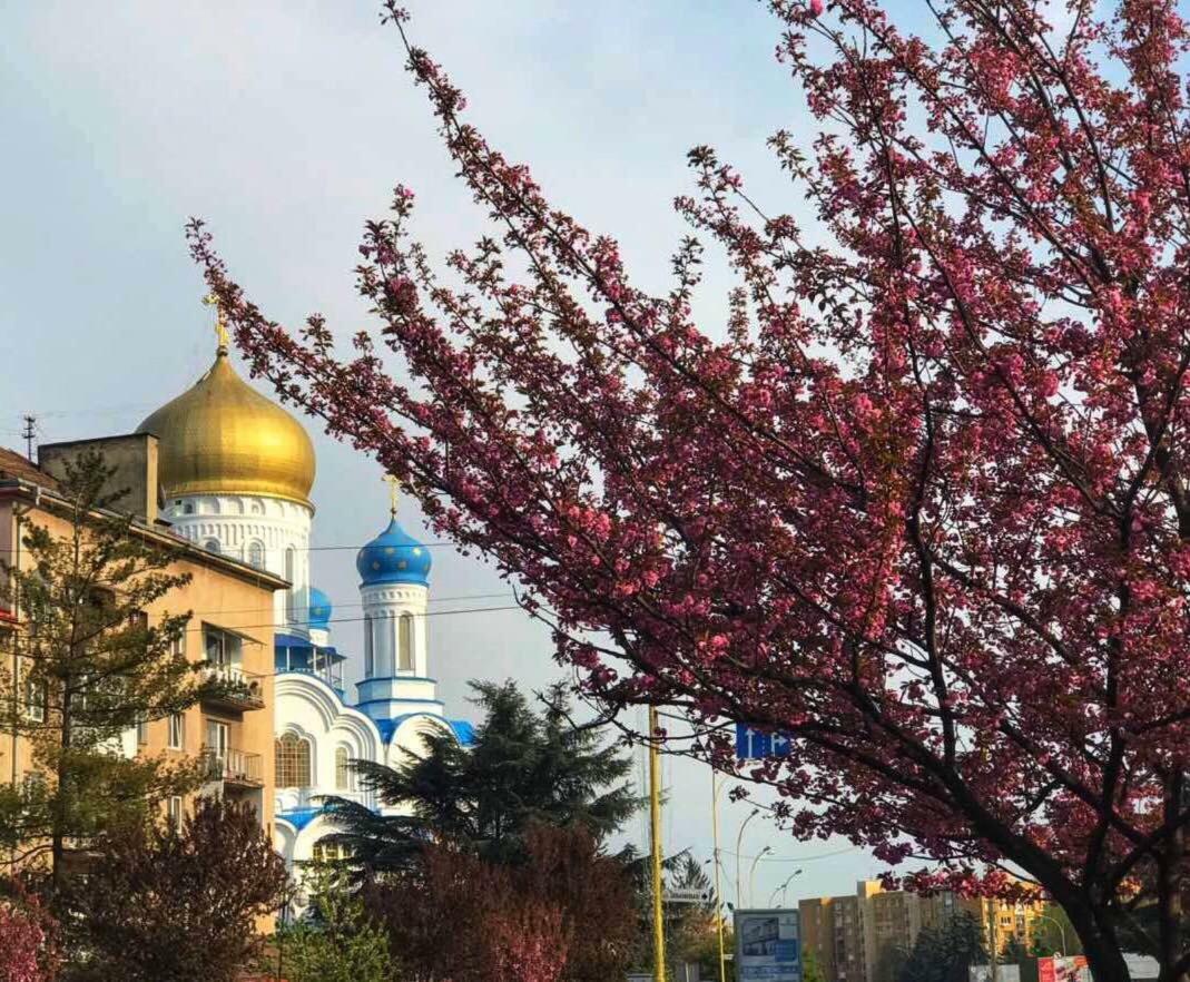 Арт Квартира В Центрі Міста Uschhorod Exterior foto
