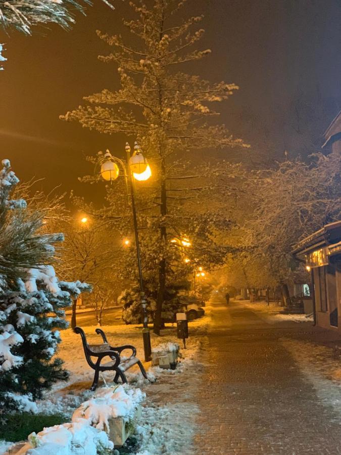 Арт Квартира В Центрі Міста Uschhorod Exterior foto